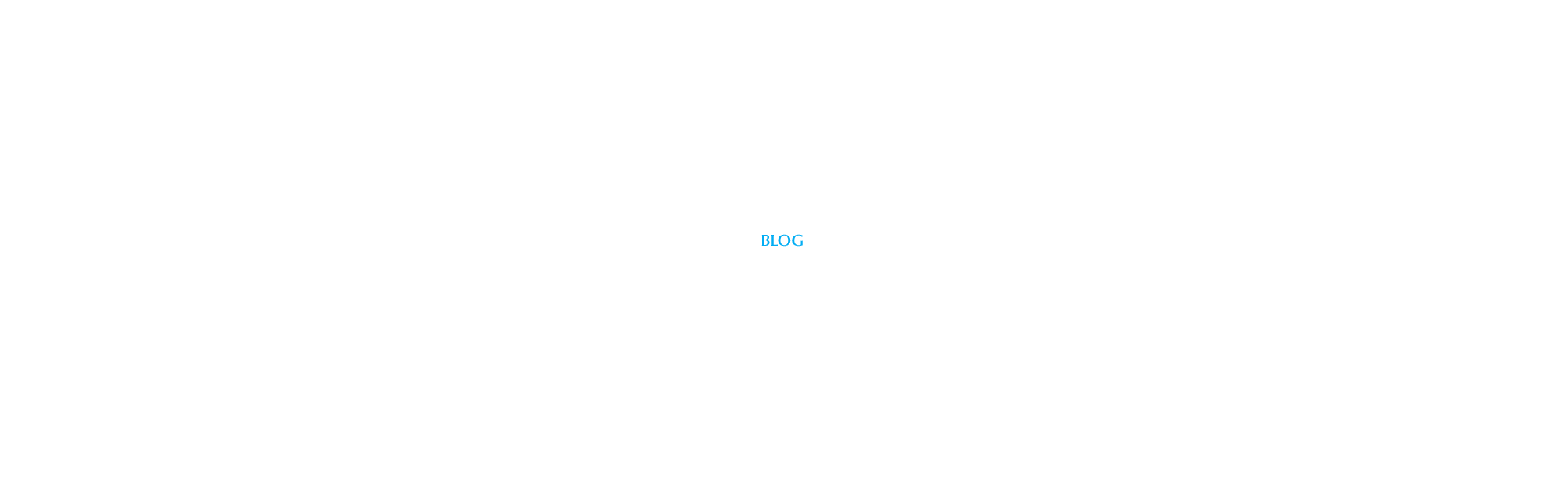 オフィシャルブログ